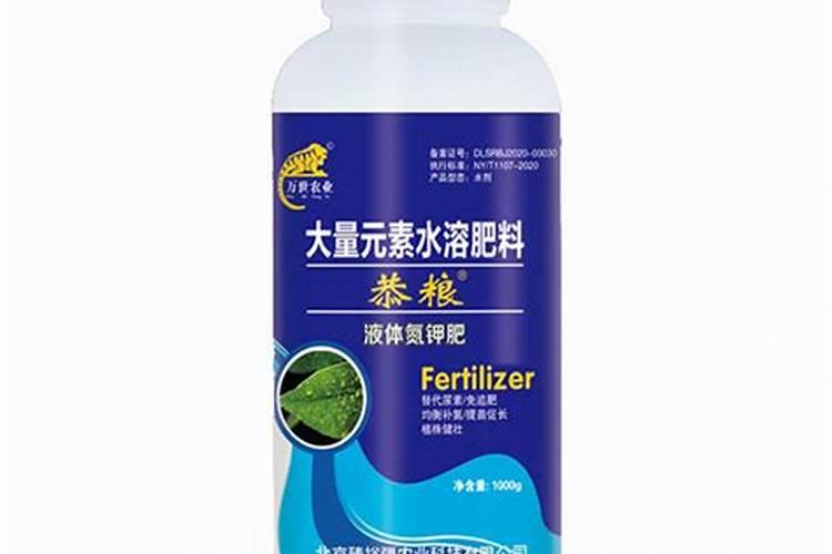 樱花秋季养护的要点