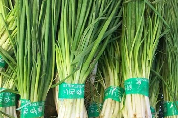 小香葱施什么肥料好