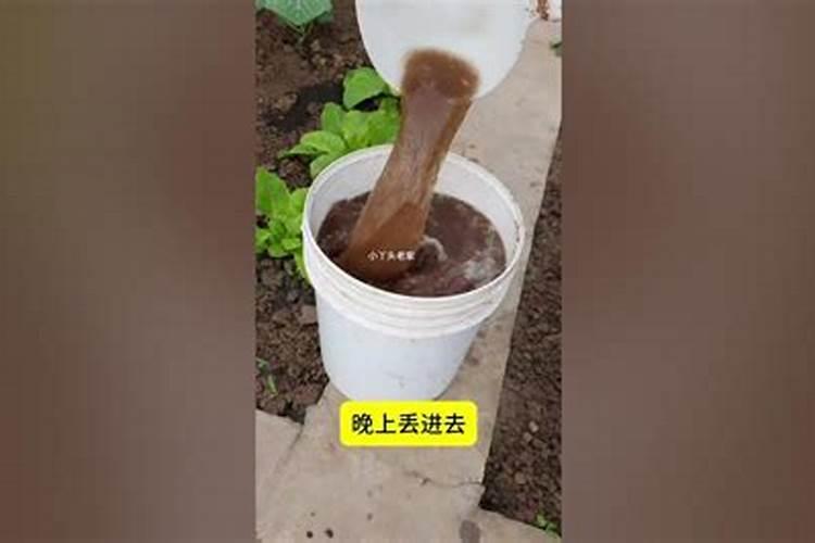 乐康片减肥的适宜人群和副作用如何？