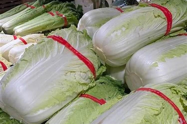 大白菜可以追尿素吗