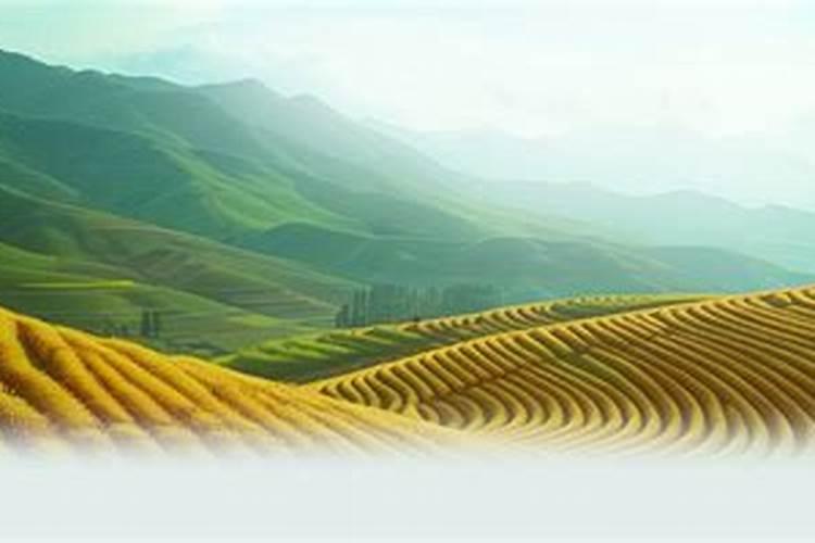 普通磷肥100斤的市场价是多少