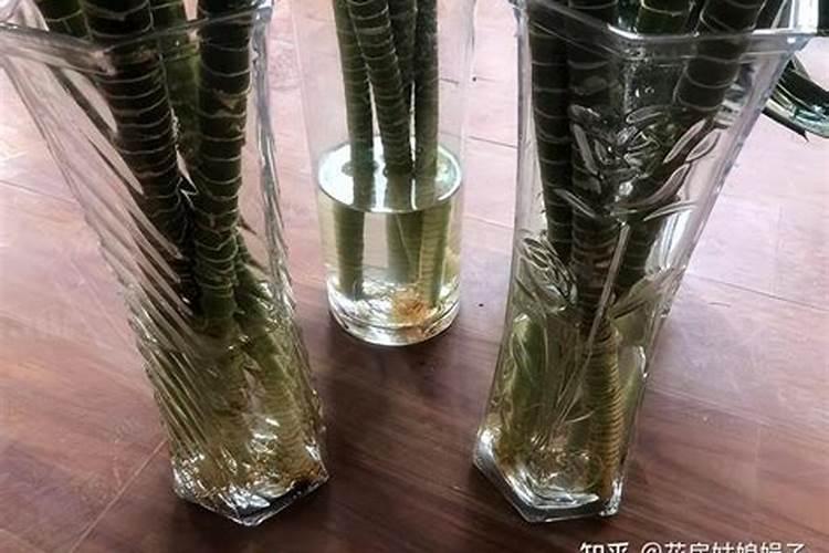生命素这玩意,我怎么听说就是叶面肥,和市面上的差不多,是这样的吗 ？