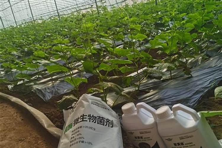 我想卖化肥,怎么卖好化肥……跪求好心人详解