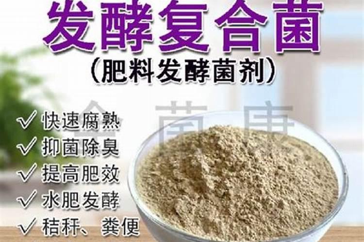 什么是磷细菌肥料？