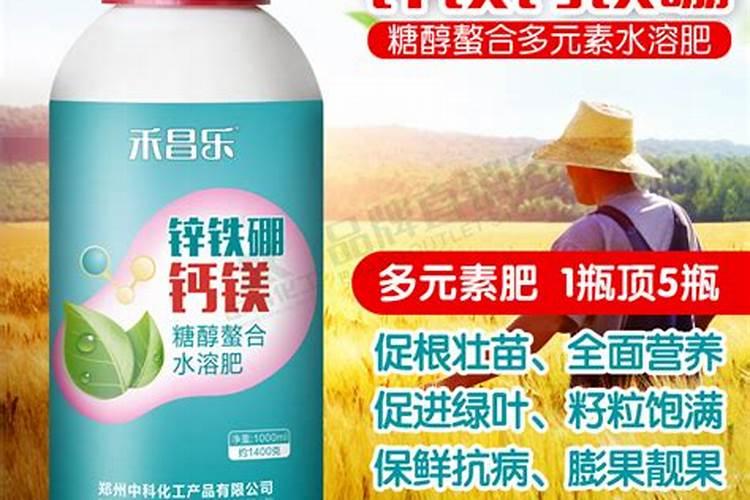 如何进行大棚土壤施肥