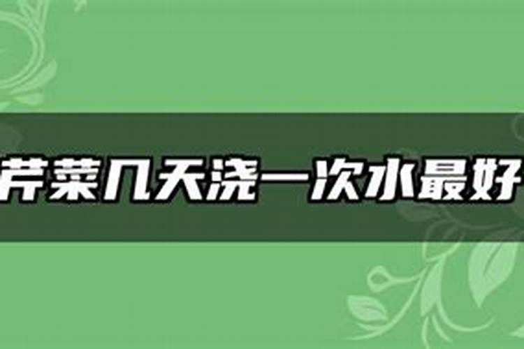 芹菜冲什么肥料长得快