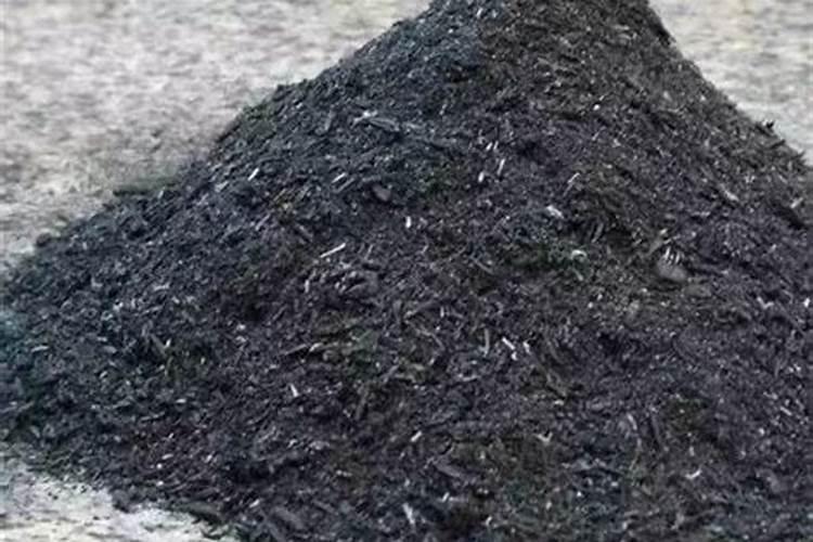 红柠檬的育苗方法