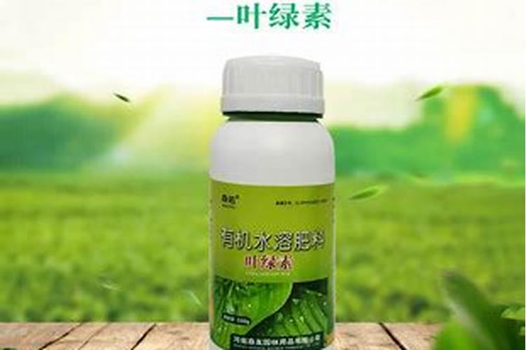 什么肥料可使树干粗壮？喜满地水溶肥效果好吗？
