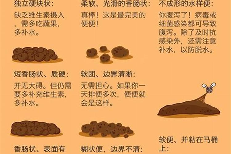 怎样排毒清肠排宿便