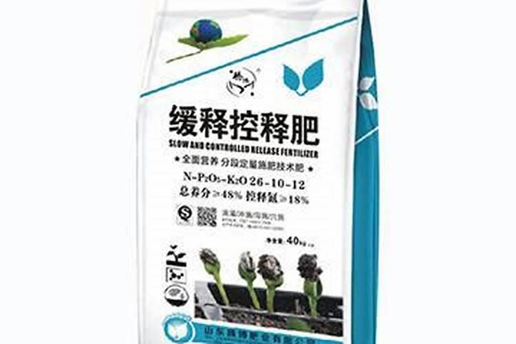 为什么我养的长寿花叶子没有光泽