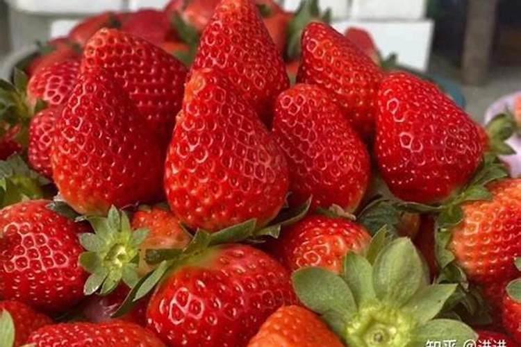 草莓用什么肥料果子又大又甜