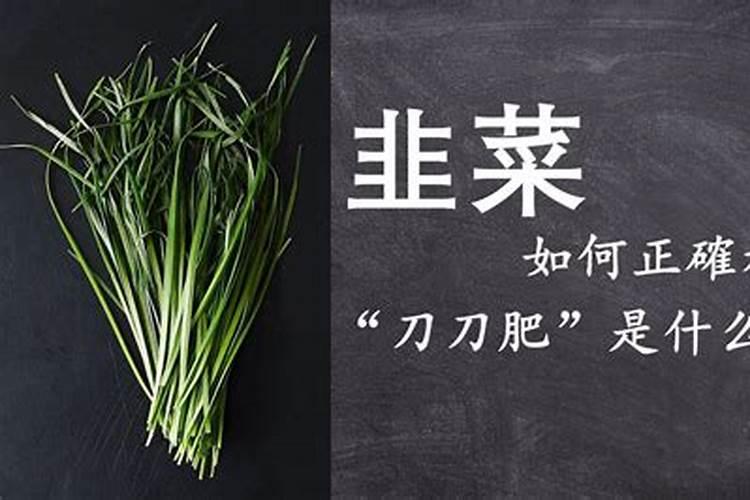 韭菜怎么施肥效果好？