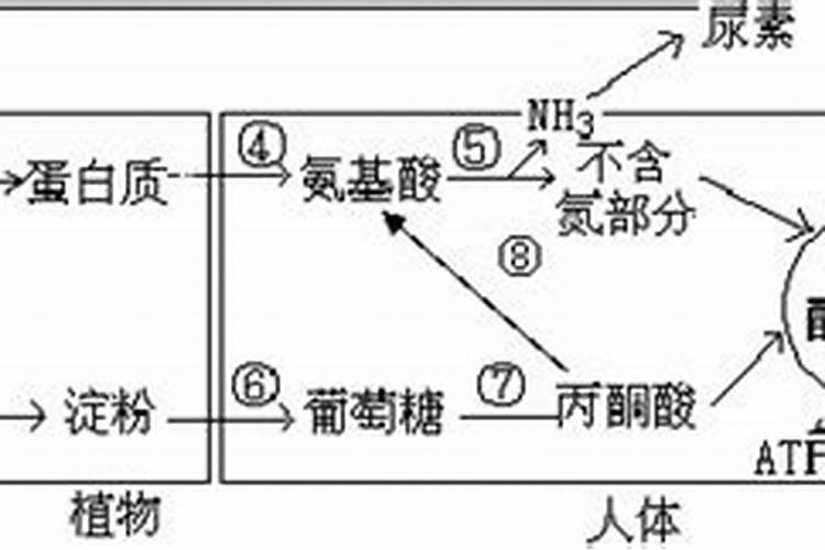 玉米追肥硝酸铵钙和尿素哪个好