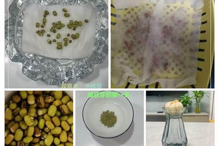 如何自制植物生根剂？