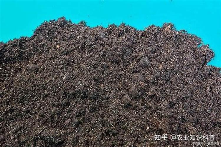 氮磷钾肥有哪些 适合什么花