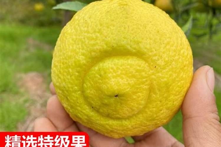 想问钙肥料有哪些？