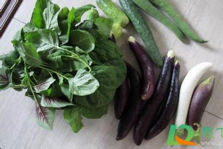 青菜和什么食物相克表