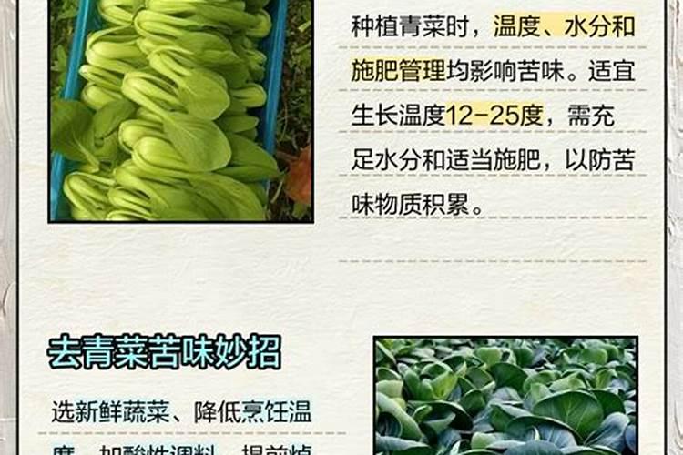 青绿饲料喂鹅需要注意什么？