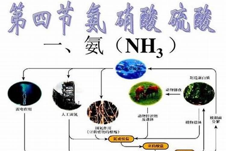 氨气的用途