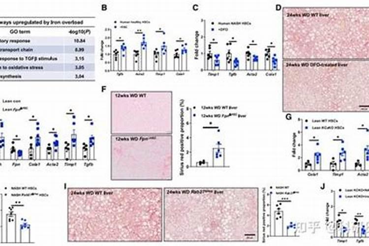 温室大棚~南方种植时间表~
