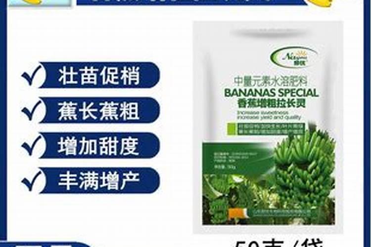 大豆棉被子是什么材质