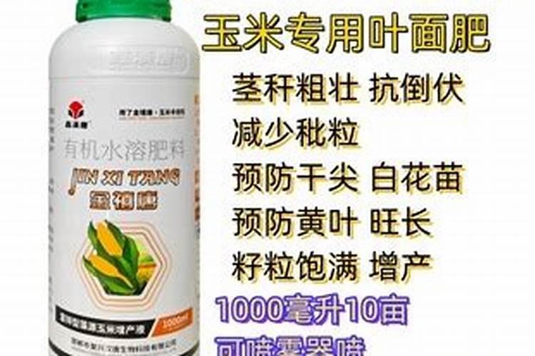 玉米上喷什么叶面肥提高产量