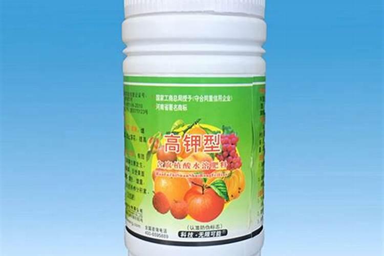 脐橙有哪些专用肥 如何进行施肥