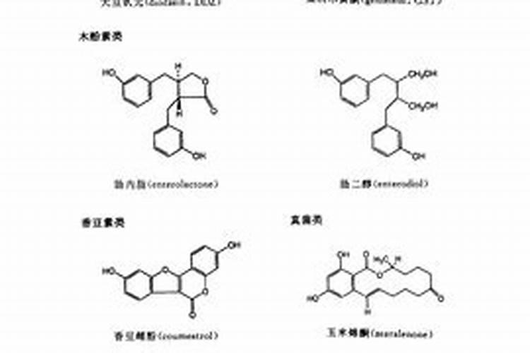 水溶肥是什么肥料