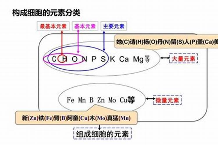大量元素和微量元素是根据什么分类的