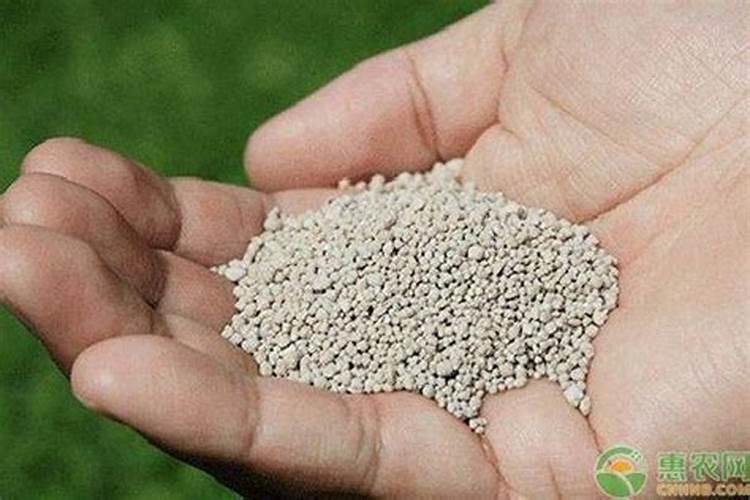 钾肥的正确使用方法 合理施用钾肥需要注意什么