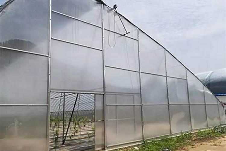 水稻和小麦区别 如何区分两者