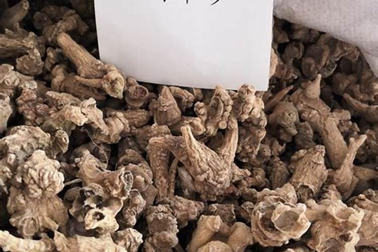 竹节参几月份种植？