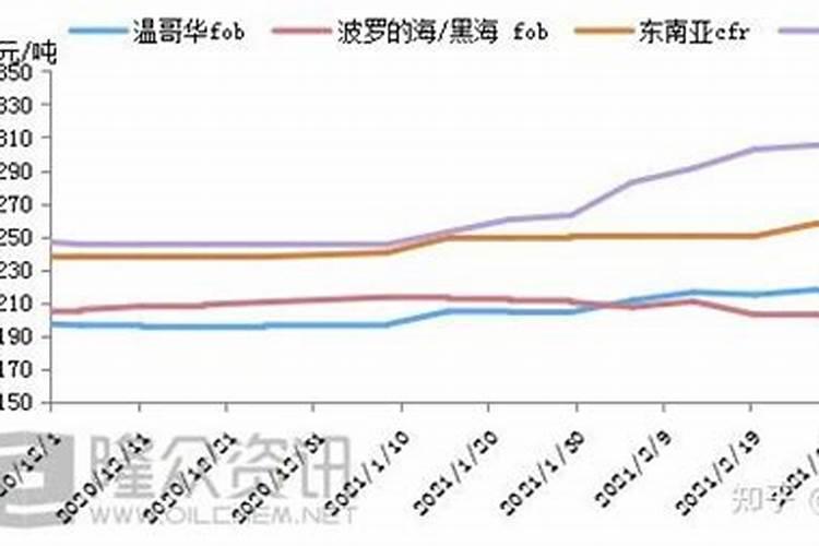 香菇汤的做法大全(香菇汤的五种做法)