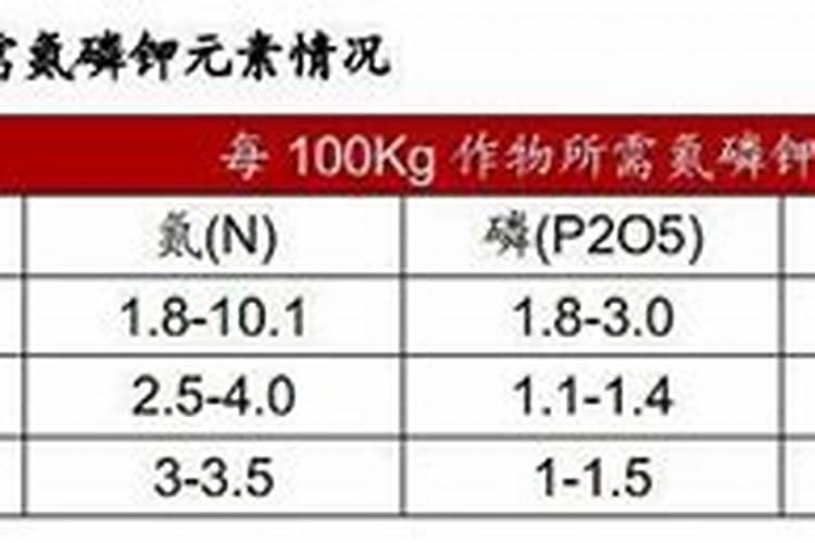 生根肥使用过程中应注意什么