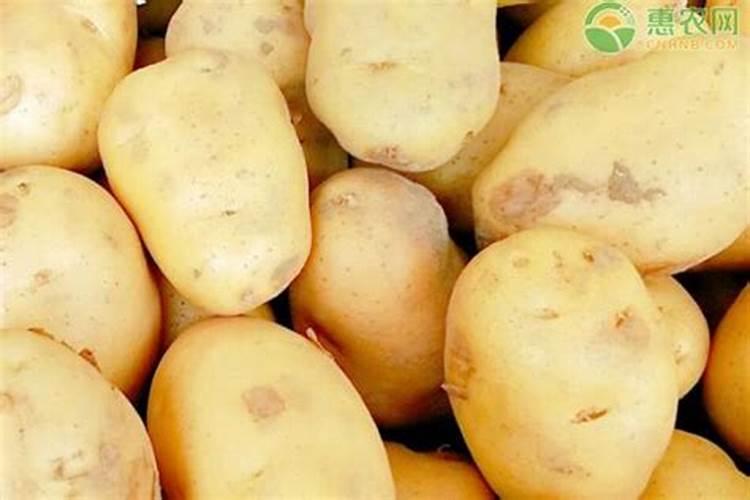 土豆浇什么肥料合适