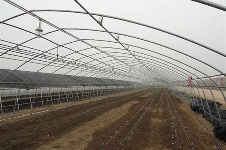 复合肥兑水浇菜会烧根吗