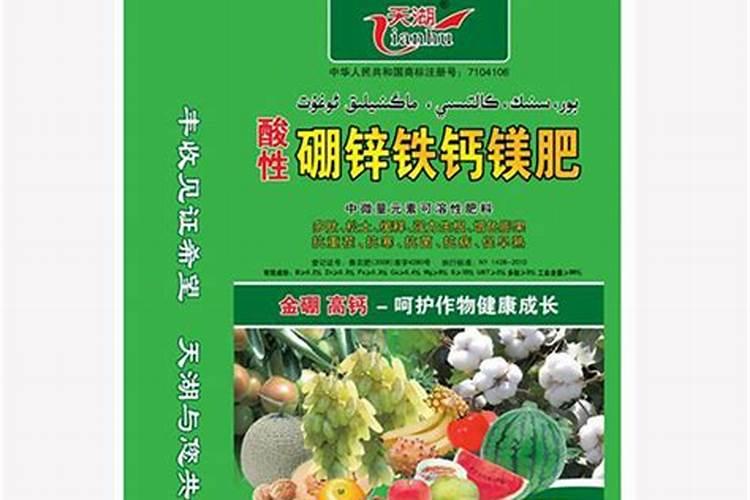 包粽子用的箬竹叶和麻竹叶有什么不同？