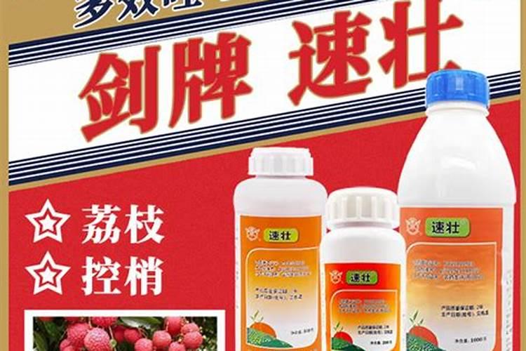 长寿花的种植方法及注意事项(有关长寿花的养护技巧)