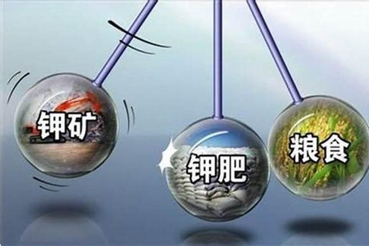 20升桶装水多少斤？正常的饮水机水桶是多大