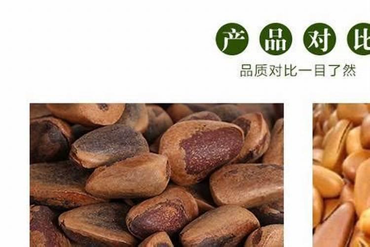 松子壳可以做花肥吗