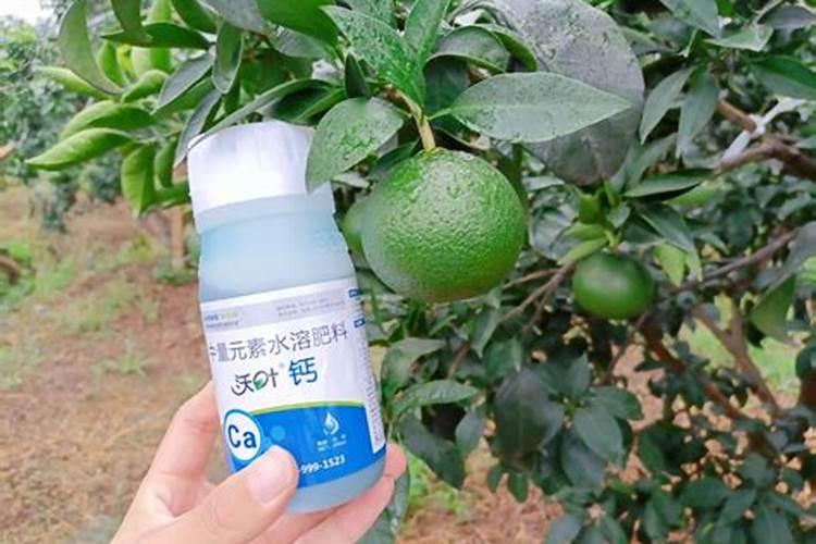 果树用什么中量肥料好