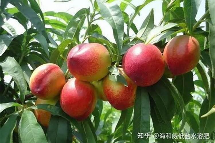 井下水存放久了能产生氨氮过高吗