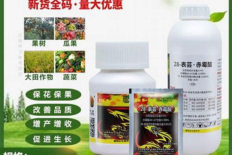 芸苔素加磷酸二氢钾加杀虫剂可以吗