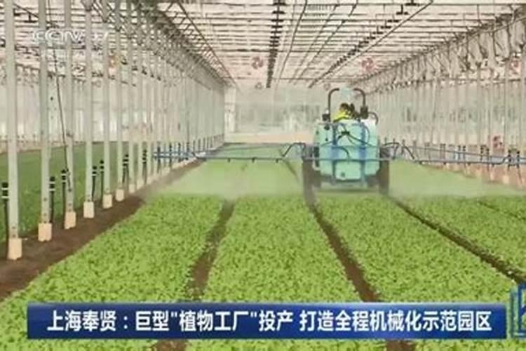 中国知名叶面肥生产厂家有哪些,那家做的比较好？