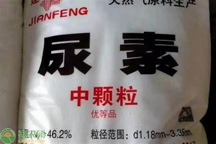 爆米花受潮不脆了怎么办