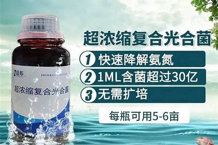 氨氮亚硝酸盐超标最简单的处理方法