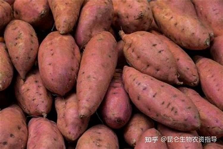 果树开花不结果用磷酸二氢钾？