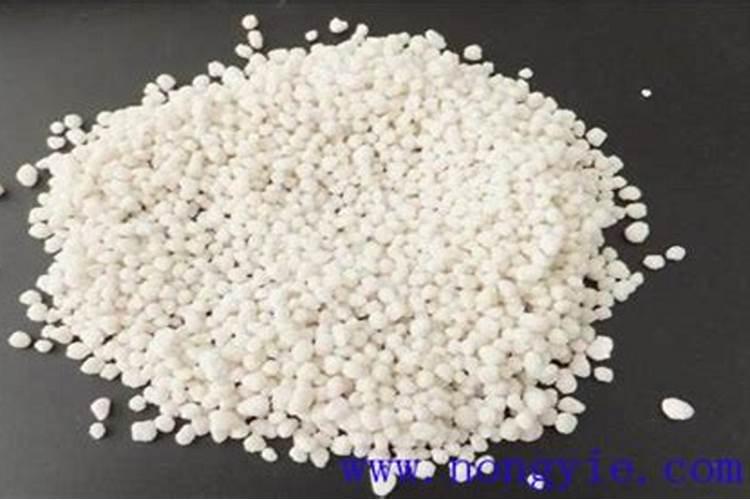 观叶类花卉或叶菜类作物应多施什么肥？