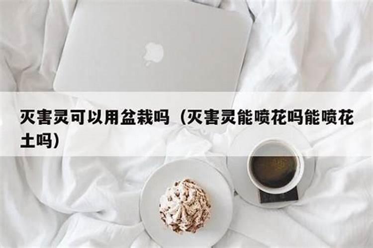 四季兰花怎么养