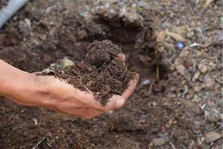 我想了解一下该怎么使用化肥氮磷钾？